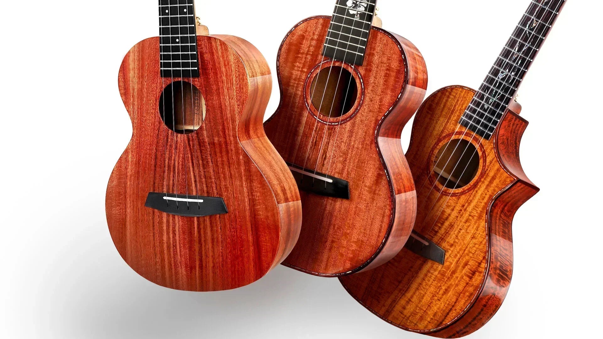 Tìm Hiểu Về Gỗ Acacia Và Gỗ Koa