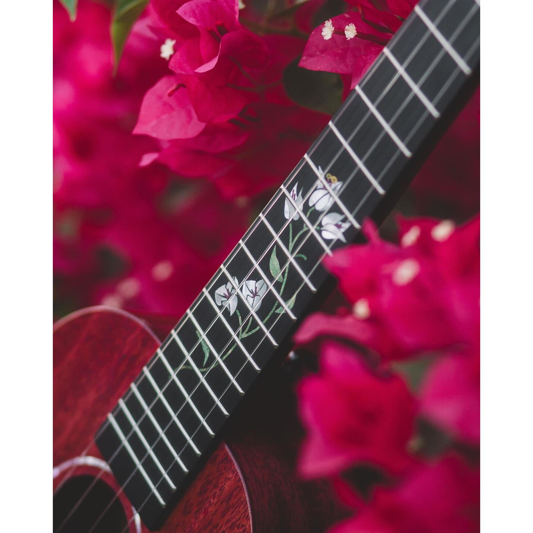 Đàn Ukulele Enya MAD Bougainvillea - Bernadette