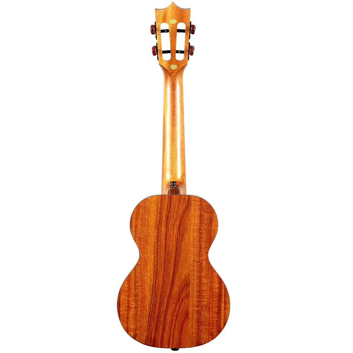 Đàn Ukulele Enya EUC X1