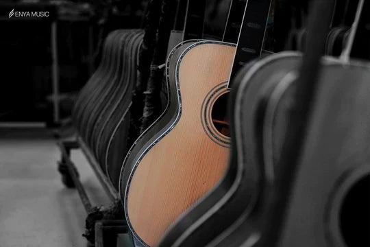 Chọn Tonewood Cho Đàn Ukulele - Đăng Khiêm Music