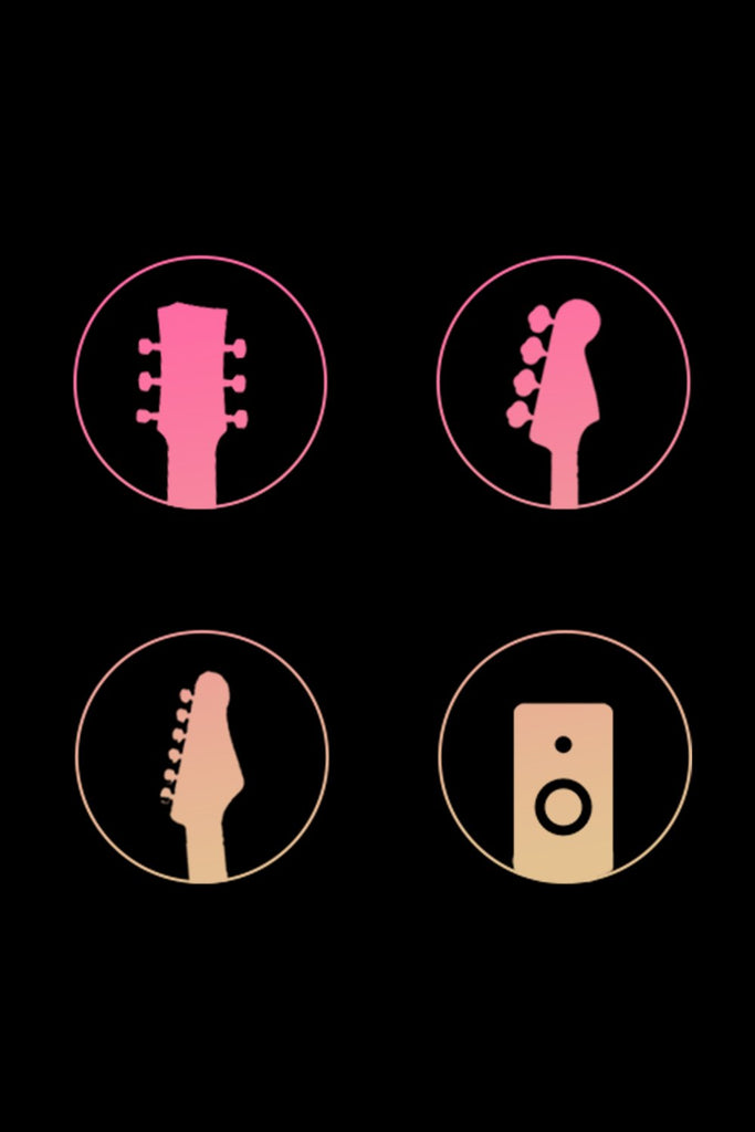 Enya Wireless System WB1
