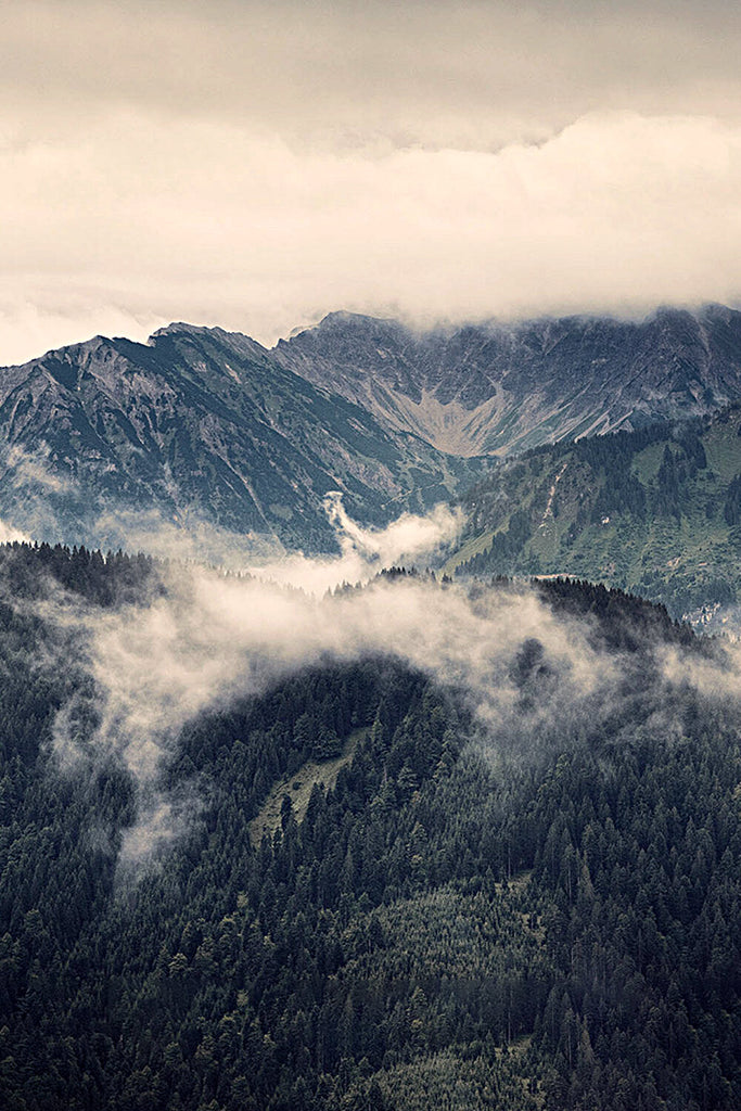 Đàn Guitar Enya T10 OM EQ LR Baggs