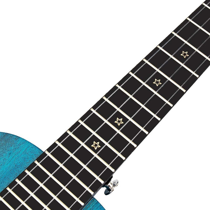 Đàn Ukulele Enya EUC 25D