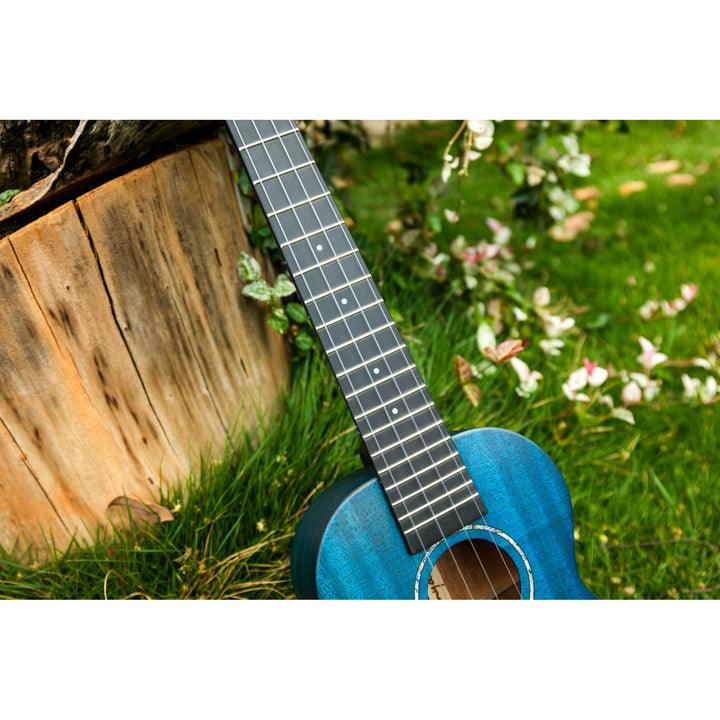 Đàn Ukulele Enya EUT MS