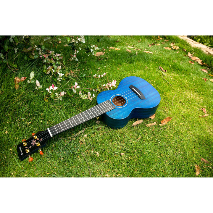Đàn Ukulele Enya EUT MS