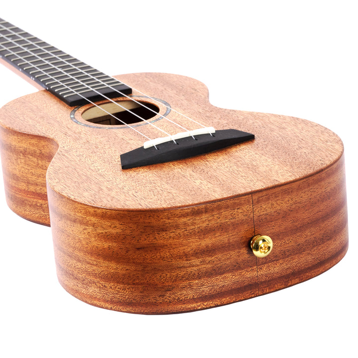 Đàn Ukulele Enya EUC MS