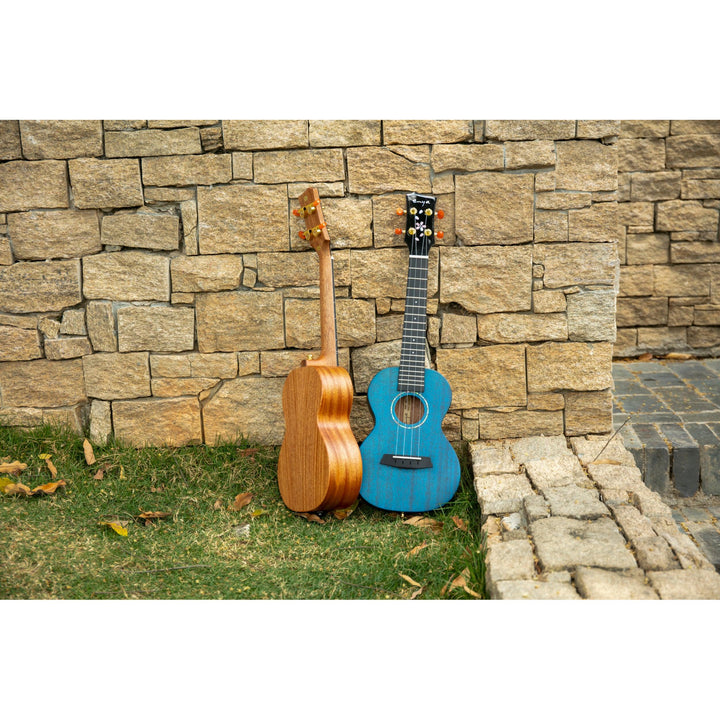Đàn Ukulele Enya EUT MS
