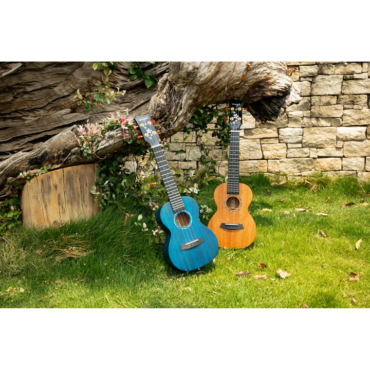 Đàn Ukulele Enya EUT MS