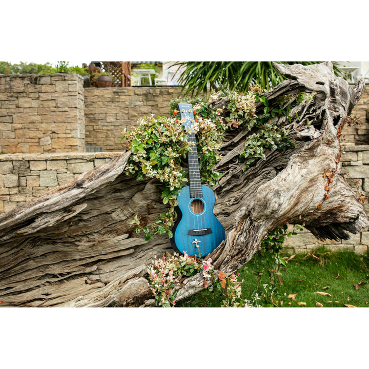 Đàn Ukulele Enya EUT MS