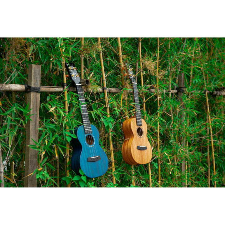 Đàn Ukulele Enya EUT MS