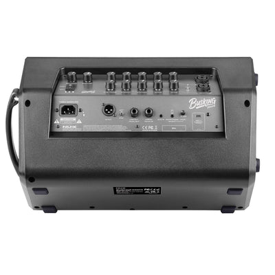 Amplifier Nux Busking 200FR - Multi-function Amp Speaker