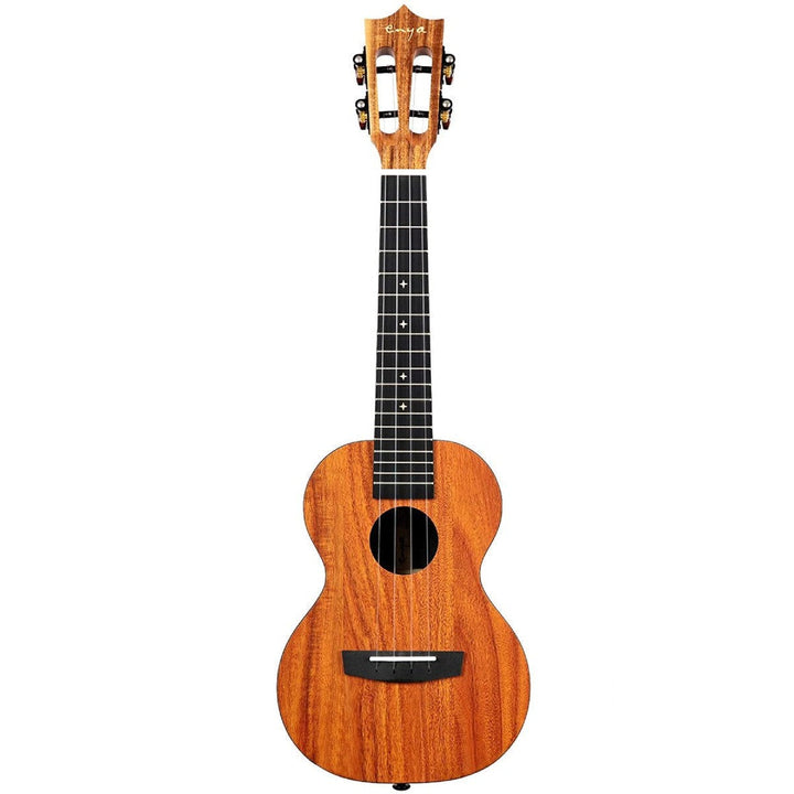 Đàn Ukulele Enya EUC X1