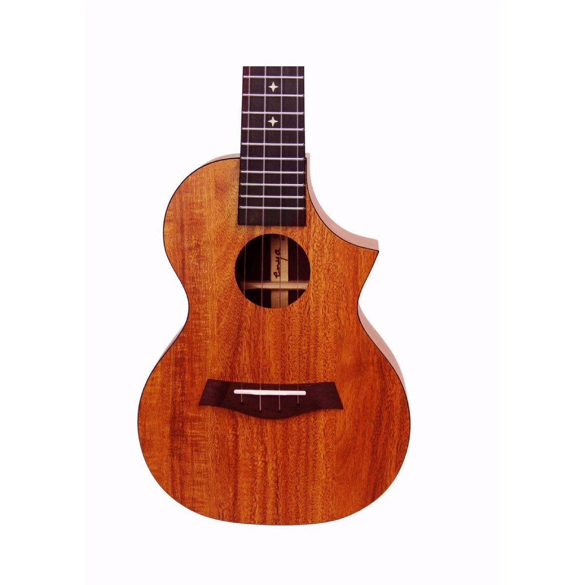 Đàn Ukulele Enya EUC X1C